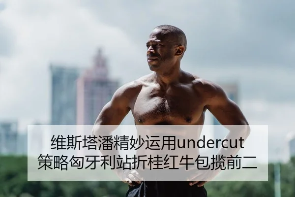 维斯塔潘精妙运用undercut策略匈牙利站折桂红牛包揽前二